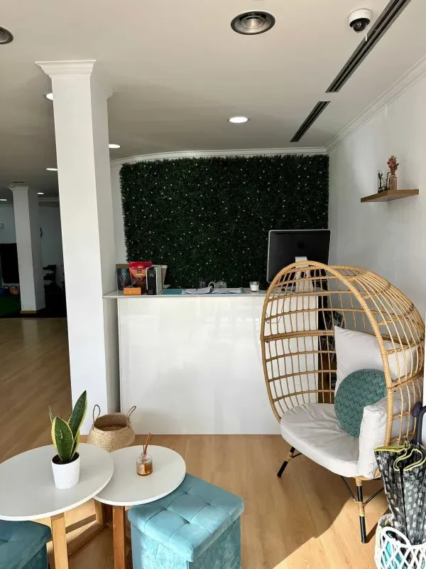 Zona de acolhimento do Maria Studio, com uma cadeira suspensa e uma parede verde